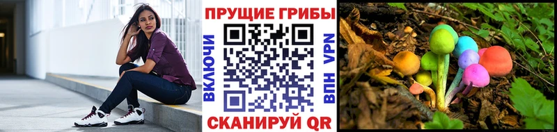 Псилоцибиновые грибы GOLDEN TEACHER  наркота  Гороховец 